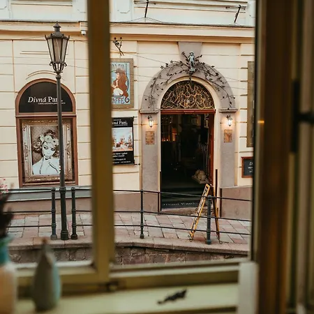 V Jungovom Dome - V Centre Stiavnice *