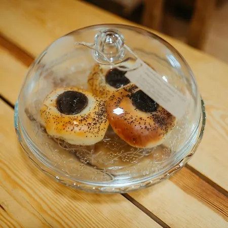 V Jungovom Dome - V Centre Stiavnice Banská Štiavnica