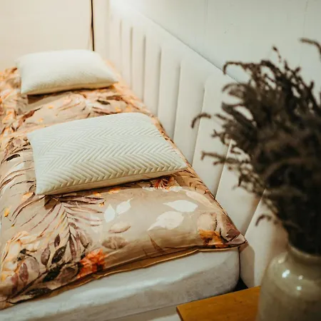 V Jungovom Dome - V Centre Stiavnice Banská Štiavnica