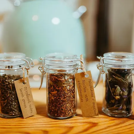 V Jungovom Dome - V Centre Stiavnice * Banská Štiavnica